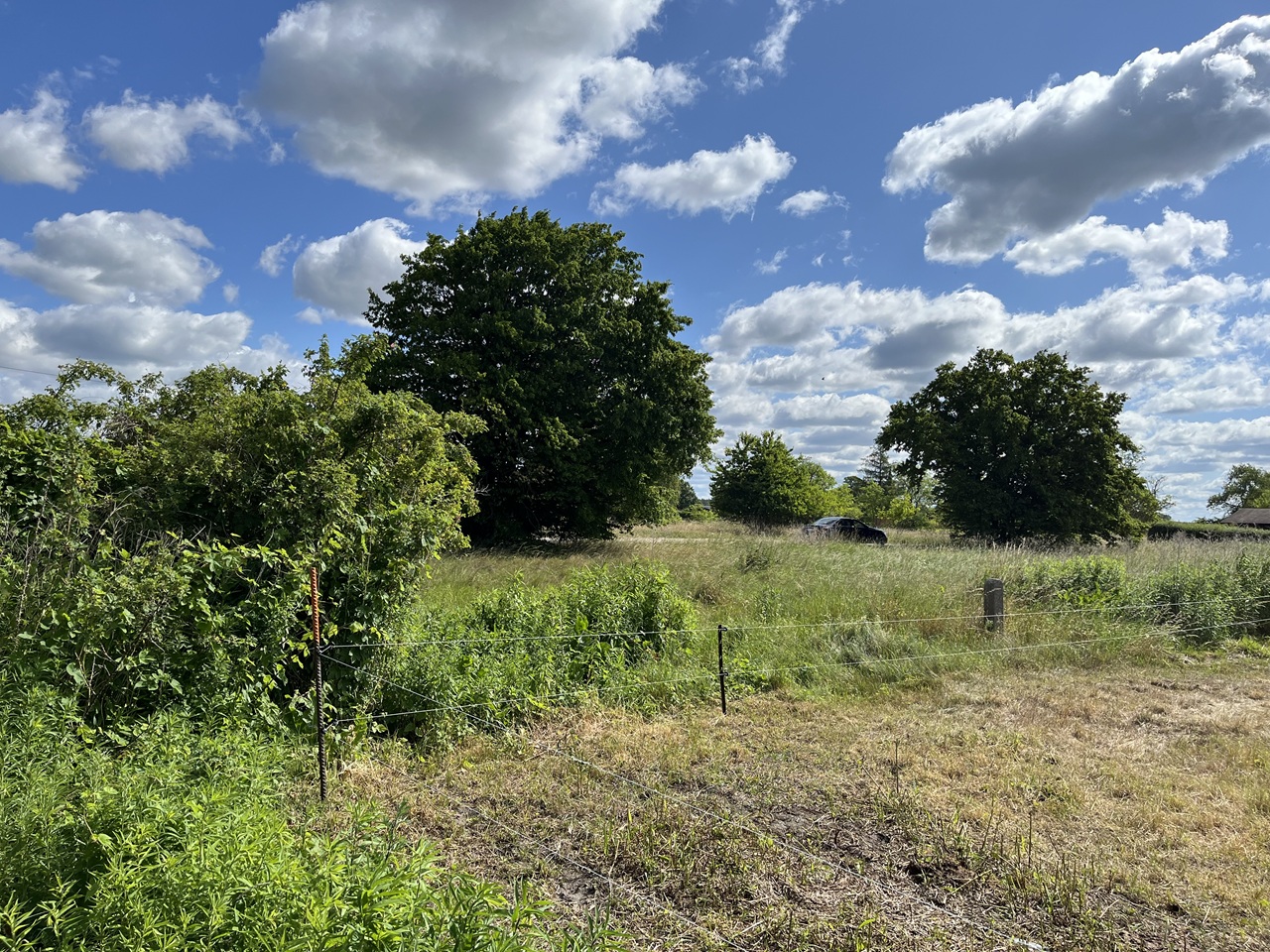 Vertragsfreie Grünfläche/ Landwirtschaftsfläche **nordwestlich von Berlin und östlich des Stadtzentrums von Kremmen**