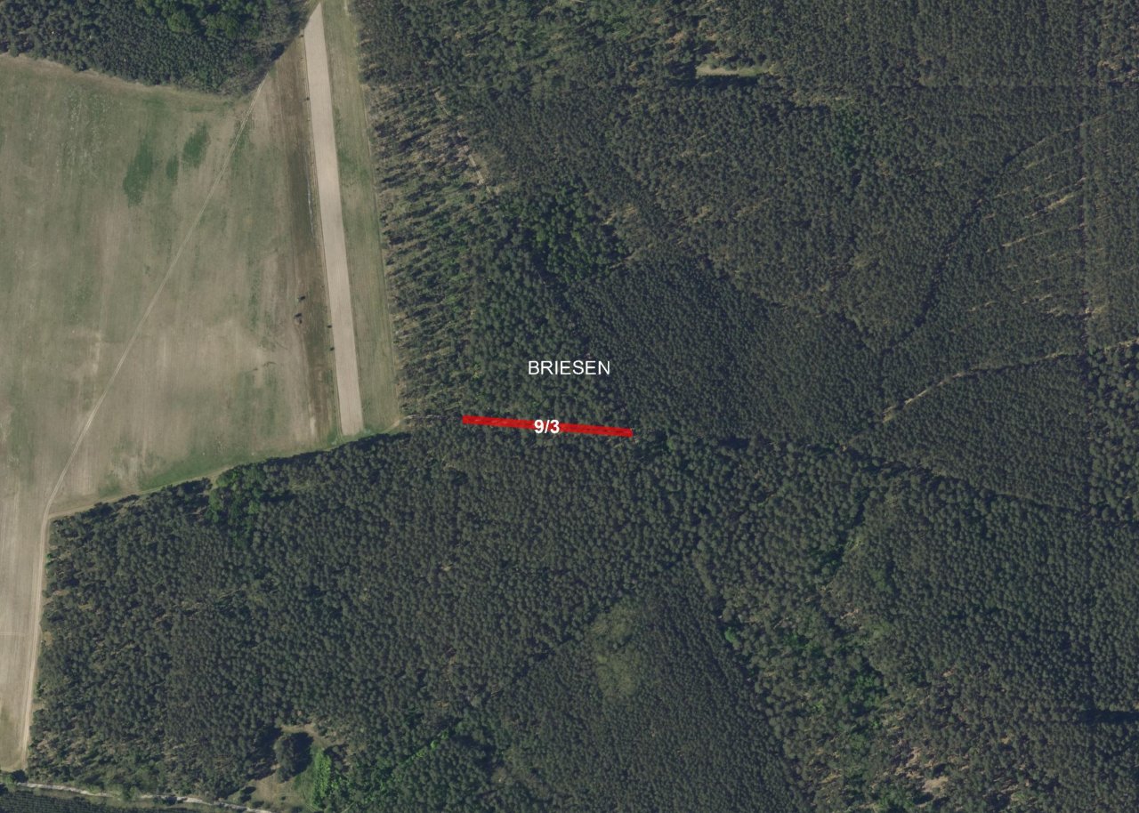 Vertragsfreie Splitterfläche am Rande eines größeren Waldgebietes **unweit nördlich vom Wasserpark Tropical Island**