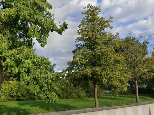 Blick über davorliegende Fremdflurstücke Richtung Verkaufsflurstück 54/3 - Vertragsfreie Grünfläche neben einem Wohngebiet und nahe der Serways Raststätte Lehrter See Süd sowie kleine Restfläche