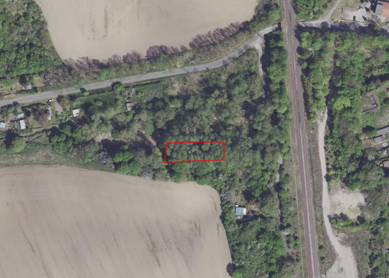 Vertragsfreies, mit Bäumen bewachsenes Grundstück am nördlichen Ortsrand von Seelow