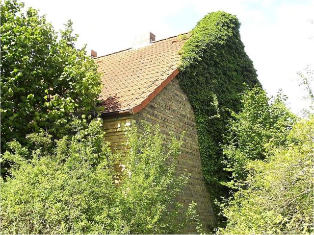 Verkaufsgegenstand - Vermietetes Einfamilienhaus in Zahna an der Elster