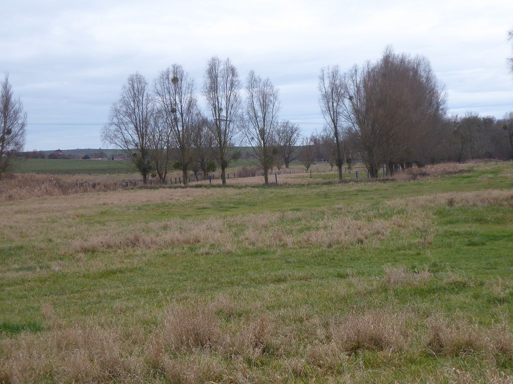 Wasserlauf und Uferfläche der ´Sülze´ in Magdeburg