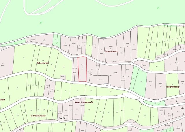 Umgebungsskizze - Weinbergsbrachfläche in der Weinbaugemeinde Zell an der Mosel