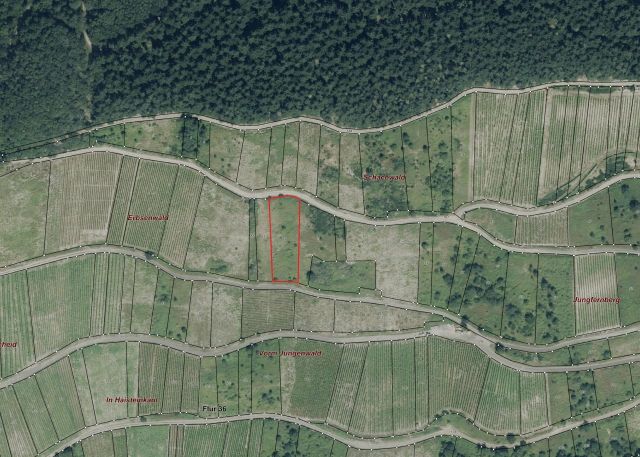 Umgebungsskizze - Weinbergsbrachfläche in der Weinbaugemeinde Zell an der Mosel