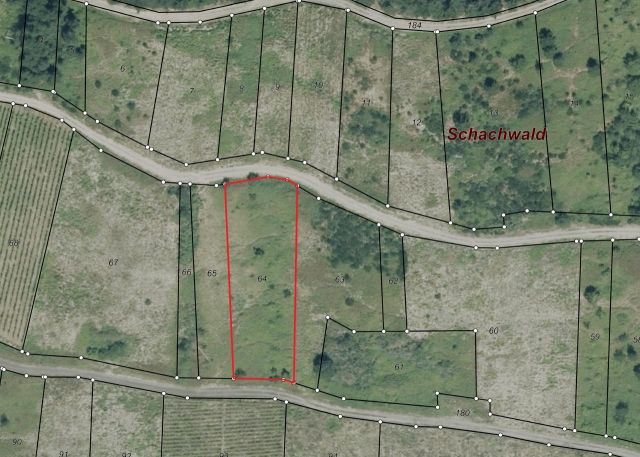 Lageskizze - Weinbergsbrachfläche in der Weinbaugemeinde Zell an der Mosel