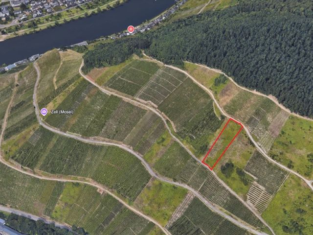Blick auf Lage der Verkaufsfläche und Umgebung - Weinbergsbrachfläche in der Weinbaugemeinde Zell an der Mosel