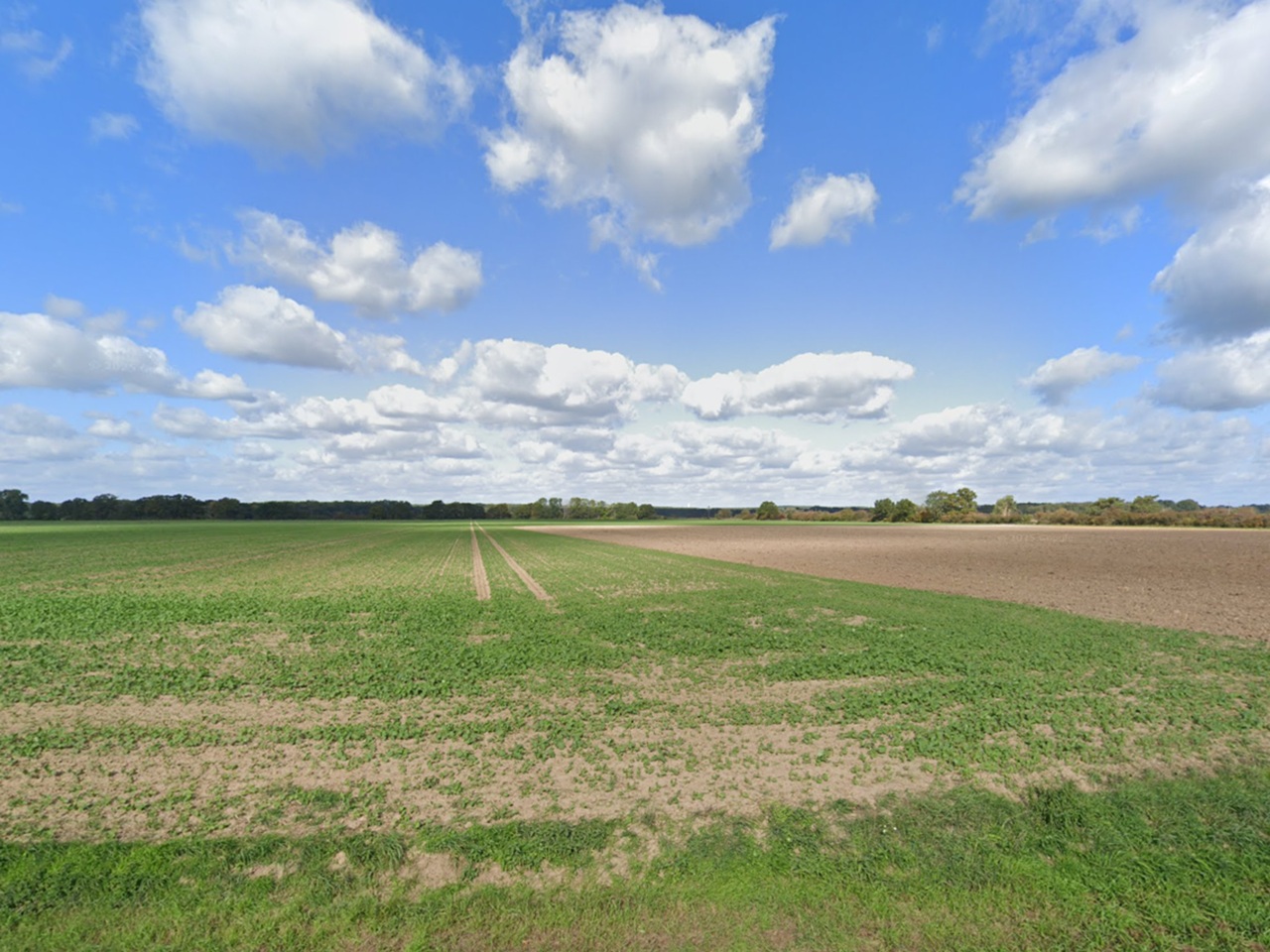 Über 1 Hektar Grundstücke (Landwirtschaftsflächen, Grünland, Gräben und Weg) in Streulage **bis 30.09.2026 verpachtet**
