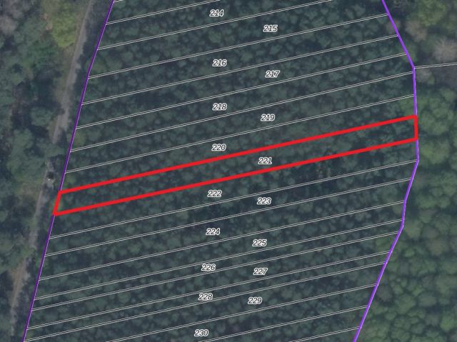 Lageskizze Flurstück 221 - Eine Waldfläche und eine bis 31.12.2027 verpachtete Landwirtschaftsfläche nahe dem ´Wernsdorfer See´