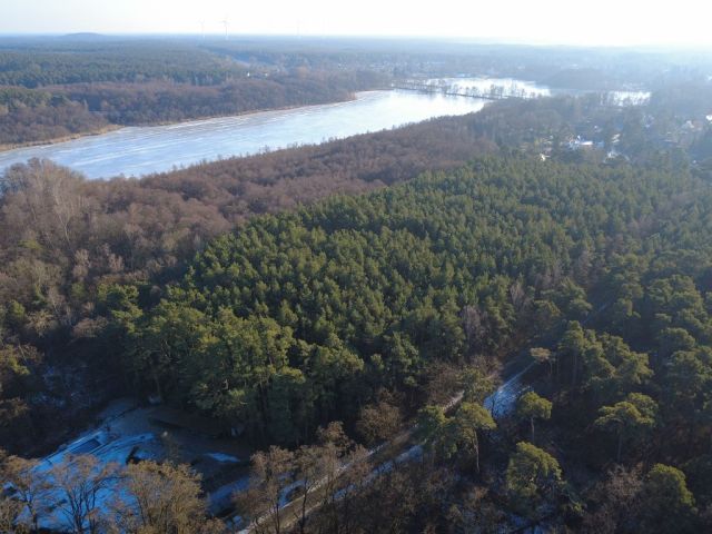 Blick Richtung Flurstück 221 und Umgebung - Eine Waldfläche und eine bis 31.12.2027 verpachtete Landwirtschaftsfläche nahe dem ´Wernsdorfer See´