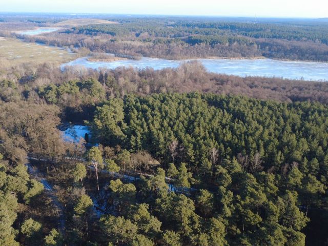 Blick Richtung Flurstück 221 und Umgebung - Eine Waldfläche und eine bis 31.12.2027 verpachtete Landwirtschaftsfläche nahe dem ´Wernsdorfer See´