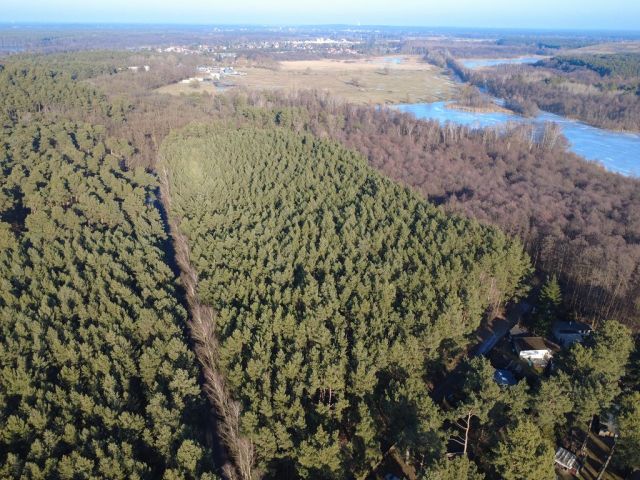 Blick Richtung Verkaufsflurstücke und Umgebung - Eine Waldfläche und eine bis 31.12.2027 verpachtete Landwirtschaftsfläche nahe dem ´Wernsdorfer See´