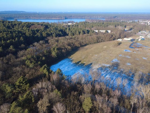 Blick auf Flurstück 191 und Umgebung - Eine Waldfläche und eine bis 31.12.2027 verpachtete Landwirtschaftsfläche nahe dem ´Wernsdorfer See´