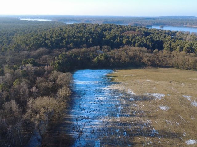 Blick auf Flurstück 191 und Umgebung - Eine Waldfläche und eine bis 31.12.2027 verpachtete Landwirtschaftsfläche nahe dem ´Wernsdorfer See´