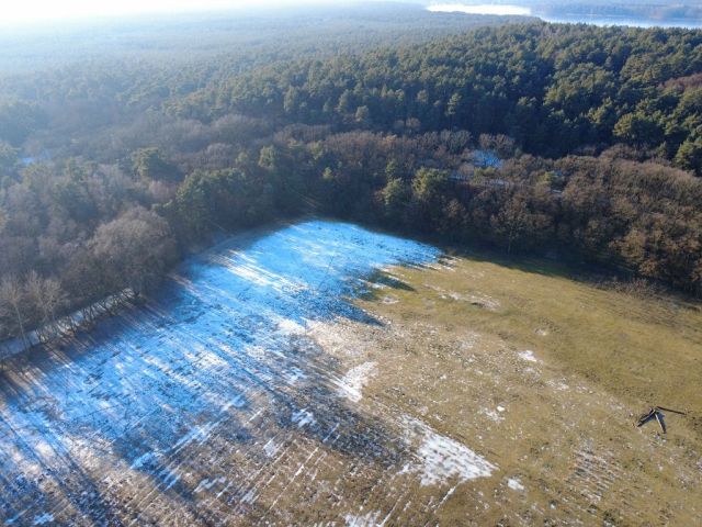 Blick auf Flurstück 191 und Umgebung - Eine Waldfläche und eine bis 31.12.2027 verpachtete Landwirtschaftsfläche nahe dem ´Wernsdorfer See´