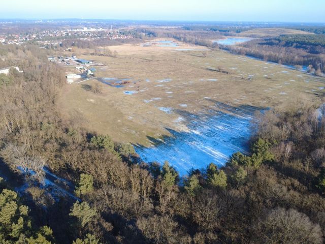 Blick auf Flurstück 191 und Umgebung - Eine Waldfläche und eine bis 31.12.2027 verpachtete Landwirtschaftsfläche nahe dem ´Wernsdorfer See´