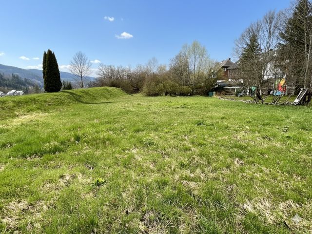 Blick auf die Verkaufsfläche und die Umgebung - Grundstück im Kurort Hinterzarten im Schwarzwald ca. 27 km von Freiburg (Breisgau) entfernt *vertragsfreie Grünfläche*