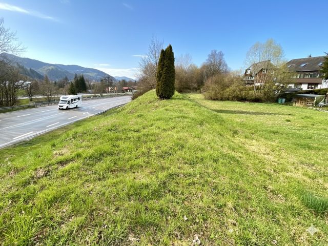 Blick auf die Verkaufsfläche und Umgebung - Grundstück im Kurort Hinterzarten im Schwarzwald ca. 27 km von Freiburg (Breisgau) entfernt *vertragsfreie Grünfläche*