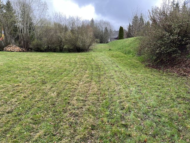 Blick auf die Verkaufsfläche - Grundstück im Kurort Hinterzarten im Schwarzwald ca. 27 km von Freiburg (Breisgau) entfernt *vertragsfreie Grünfläche*