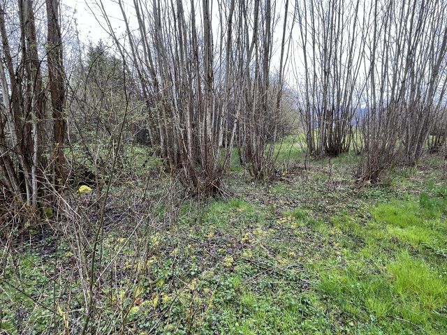 Verkaufsfläche - Grundstück im Kurort Hinterzarten im Schwarzwald ca. 27 km von Freiburg (Breisgau) entfernt *vertragsfreie Grünfläche*