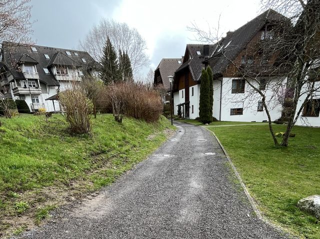 Blick in die Umgebung - Grundstück im Kurort Hinterzarten im Schwarzwald ca. 27 km von Freiburg (Breisgau) entfernt *vertragsfreie Grünfläche*