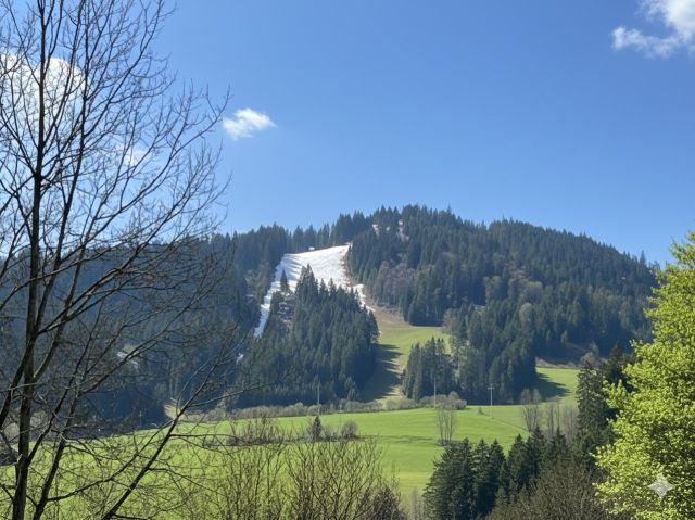 Umgebung - Springschanze in Hinterzarten - Grundstück im Kurort Hinterzarten im Schwarzwald ca. 27 km von Freiburg (Breisgau) entfernt *vertragsfreie Grünfläche*