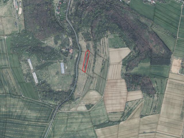 Lageskizze mit Luftbildunterlegung sowie Umgebung - Vertragsfreie Grünfläche mit teilweisem Baum- und Strauchbewuchs in Hildburghausen