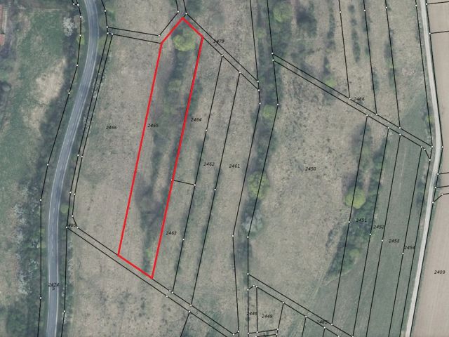 Lageskizze mit Luftbildunterlegung - Vertragsfreie Grünfläche mit teilweisem Baum- und Strauchbewuchs in Hildburghausen