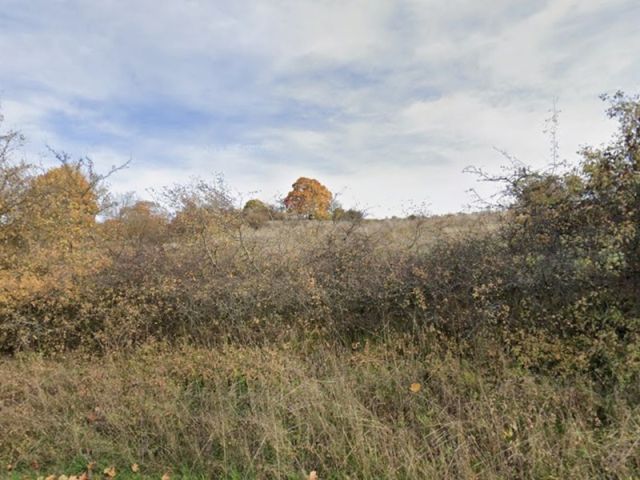 Blick von der L1134 auf die Umgebung und Richtung Verkaufsfläche - Vertragsfreie Grünfläche mit teilweisem Baum- und Strauchbewuchs in Hildburghausen