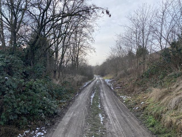 Blick auf Zuwegung und Umgebung - Grundstück in Halle/Saale - teilweise als Hausgarten genutzt und teilweise Brach- und Wegfläche