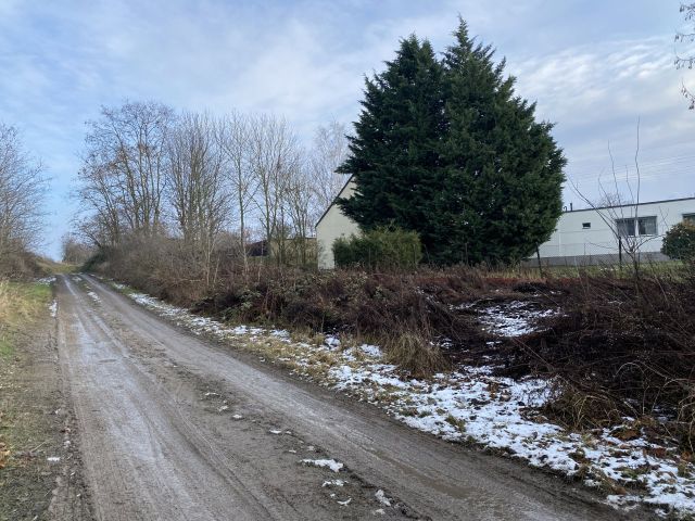 Blick auf Verkaufsfläche und Umgebung - Grundstück in Halle/Saale - teilweise als Hausgarten genutzt und teilweise Brach- und Wegfläche