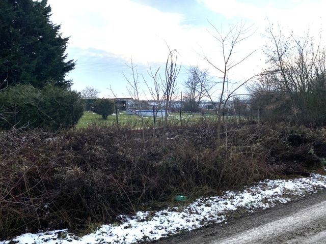 Blick auf Verkaufsfläche und Umgebung - Grundstück in Halle/Saale - teilweise als Hausgarten genutzt und teilweise Brach- und Wegfläche