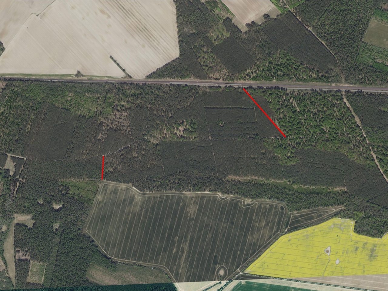 2 vertragsfreie Grundstücke innerhalb eines größeren Waldgebietes **etwa 23 km vom Berliner Ring entfernt**