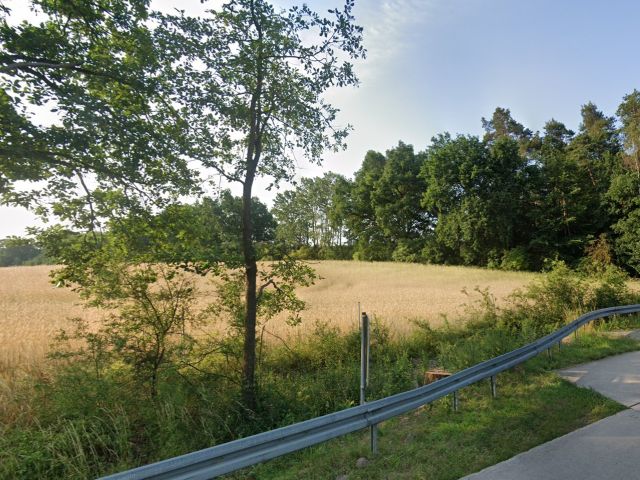 Blick Richtung Verkaufsfläche und Umgebung - Vertragslos genutzte Landwirtschaftsfläche **südöstlich der A11 und etwa 10 km vom Kloster Chorin entfernt**
