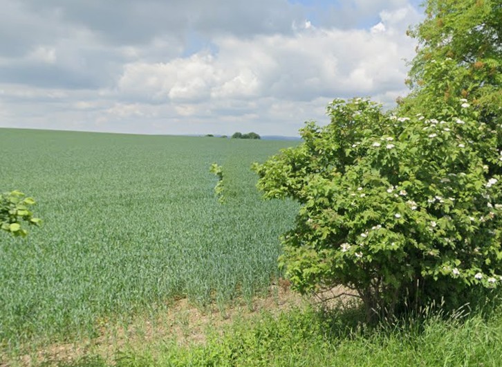Bis 30.09.2027 verpachtete Fläche im sächsischen Erzgebirgskreis