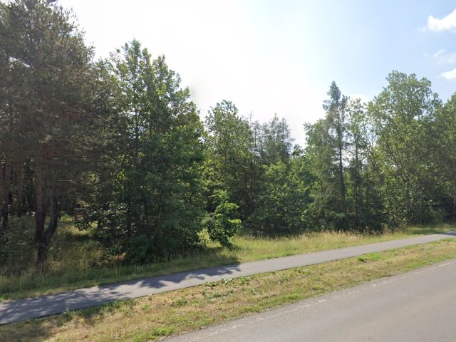 Umgebung - Wald vor den FS 384 und 430 der Flur 19, Blick in der Falkenseer Straße - Vertragsfreie Grundstücke (Grünland und Wald) unweit der Berliner Stadtgrenze
