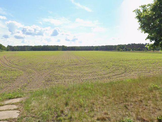 Blick auf Flurstück 387/132 und Umgebung - Zwei bis 30.09.2029 verpachtete Splitterflächen in der Altmark