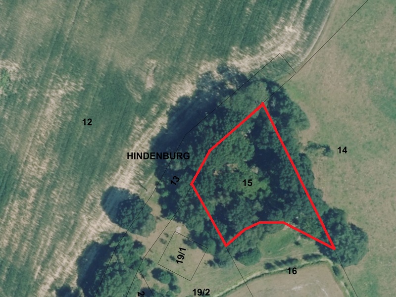 Vertragsfreie Gehölzfläche in der Uckermark