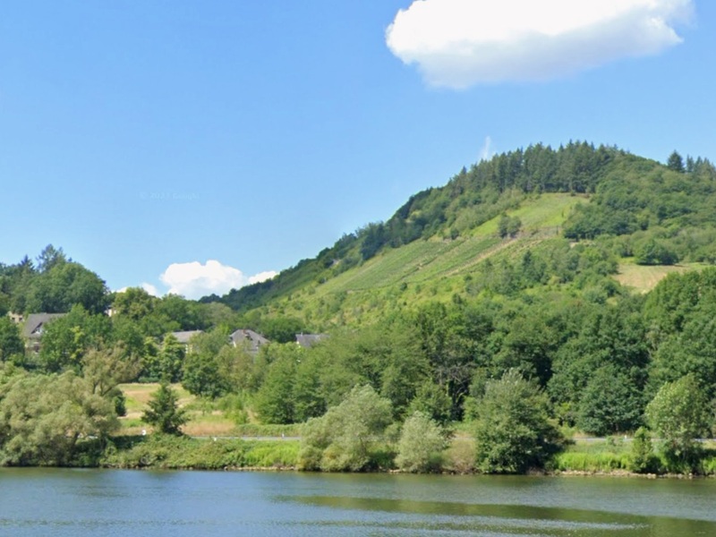 Brachliegende Weinanbaufläche im Weinort Wolf in einer Moselschleife nahe dem ´Aussichtspunkt Mühlental´