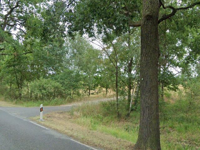 Blick auf das Flurstück 42 und Umgebung - 2 Grundstücke nahe dem Köthener See / im Berliner Umland **teilweise vertragslose Nutzung**