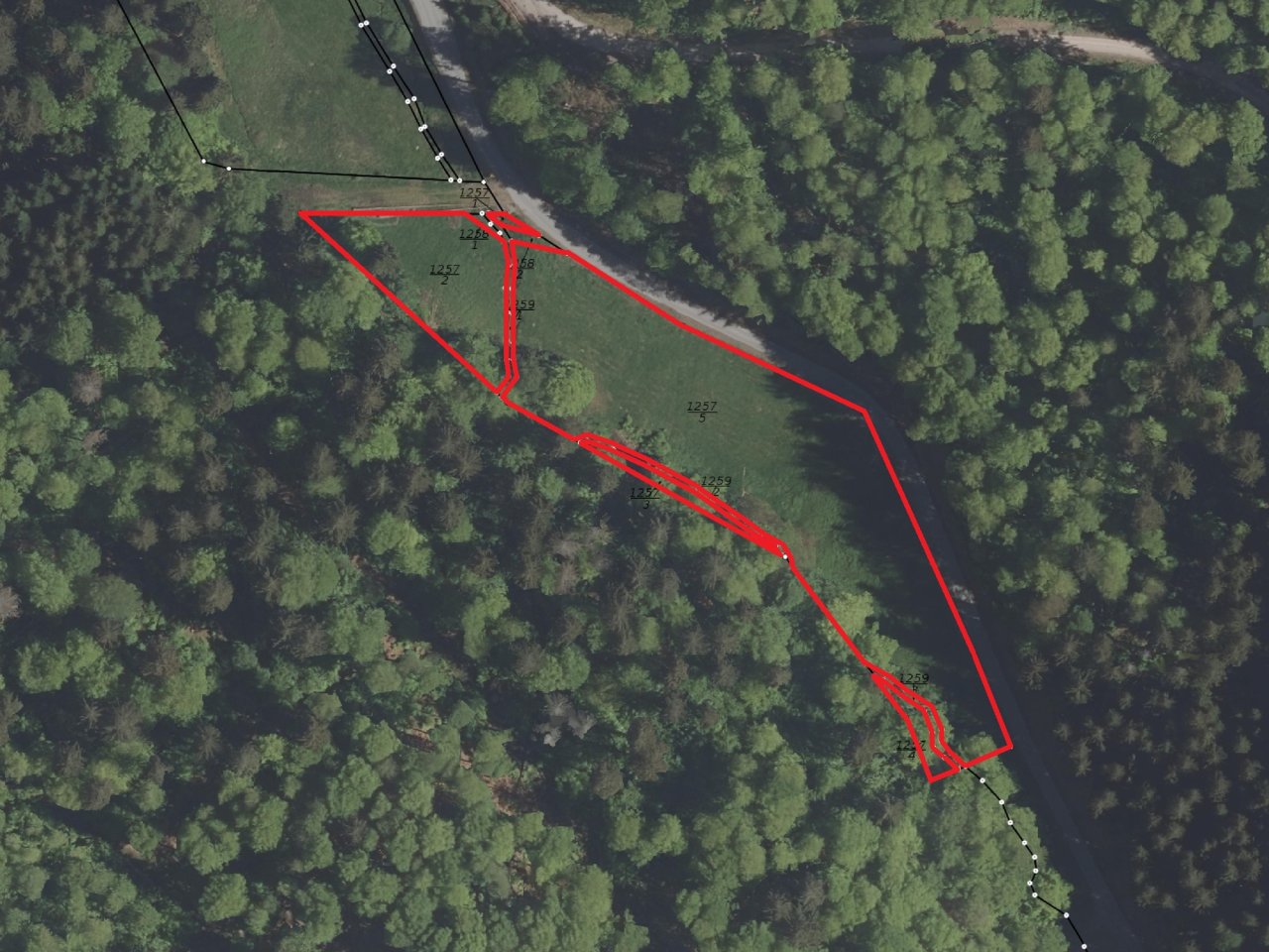 1/4 MEA an Wald- und Landwirtschaftsflächen am Bach Steinseife 