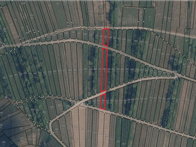 Lageskizze - Weinberg mit der Rebsorte ´Dornfelder´ im Bereich ´Kloster Stuben´ *direkt vom Weinbauern*