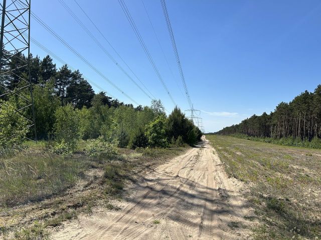 Freileitungen im Bereich der Ebereschenallee - Vertragsfreie Waldfläche innerhalb der Radelandsiedlung in Baruth/Mark **etwa 40 km südlich von Berlin entfernt**