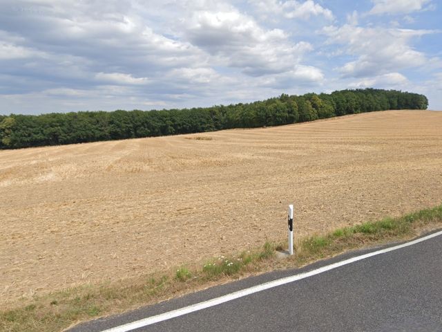 Blick auf die Verkaufsfläche und Umgebung - Vertragslos genutzter Landwirtschaftsstreifen am Taucherwald **etwa 33 km von Dresden entfernt**