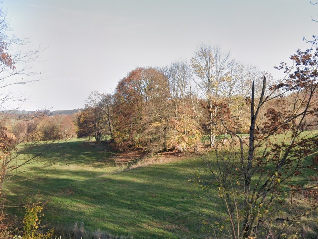 Vertragsfreies, mit Bäumen bewachsenes Grundstück nahe der Landesgrenze zu Bayern