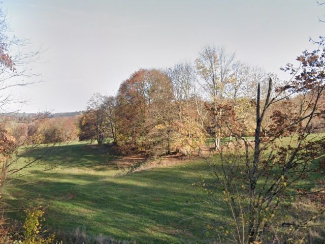 Blick Richtung Verkaufsfläche und Umgebung - Vertragsfreies, mit Bäumen bewachsenes Grundstück nahe der Landesgrenze zu Bayern