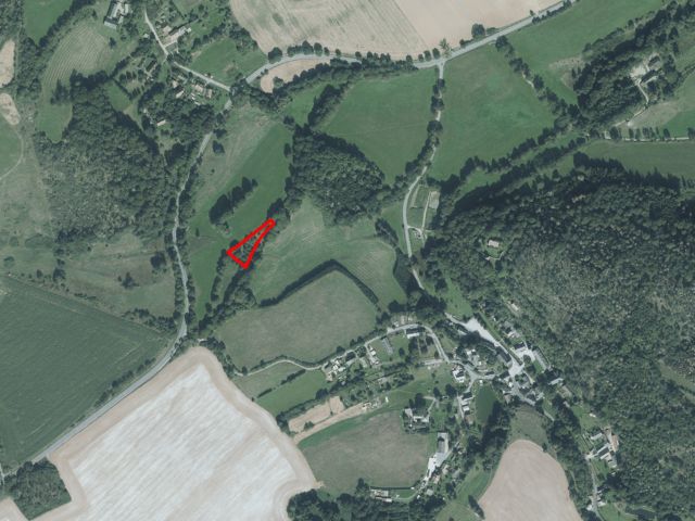 Lageskizze mit Luftbildunterlegung - Vertragsfreies, mit Bäumen bewachsenes Grundstück nahe der Landesgrenze zu Bayern