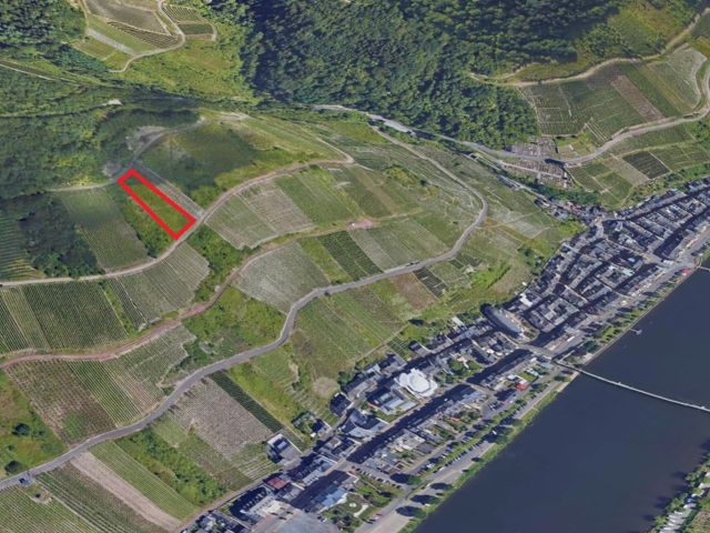 Lage Verkaufsgegenstand und Umgebung - Weinbergsbrachfläche in der Weinbaugemeinde Zell an der Mosel