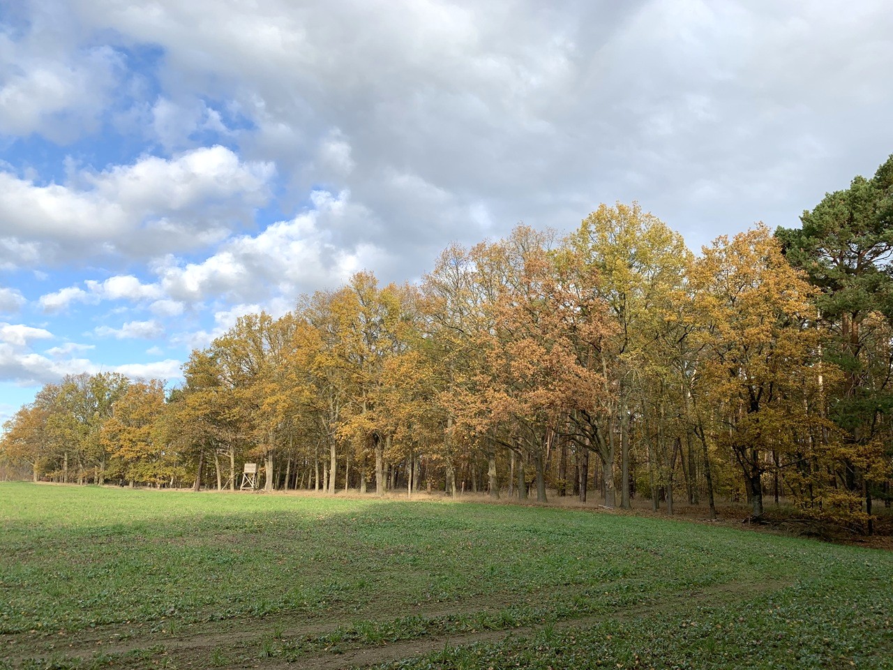 Über 1 Hektar vertragsfreie Waldfläche **innerhalb des Blumberger Waldes** im Landkreis Uckermark