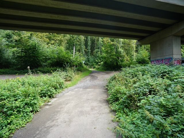 Zuwegung zur Verkaufsfläche - Vertragsfreie Waldfläche in Bonn-Ramersdorf **nahe des Dornheckensees**
