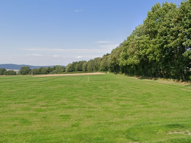 Blick auf die Verkaufsfläche und Umgebung - Bis zum 30.09.2030 verpachtete Grünfläche/ Waldfläche **etwa 37 km vom Chemnitzer Zentrum entfernt**